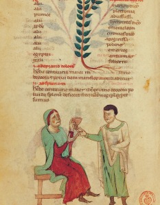 Codex medicinae Frederic II , sec. al XIII-lea